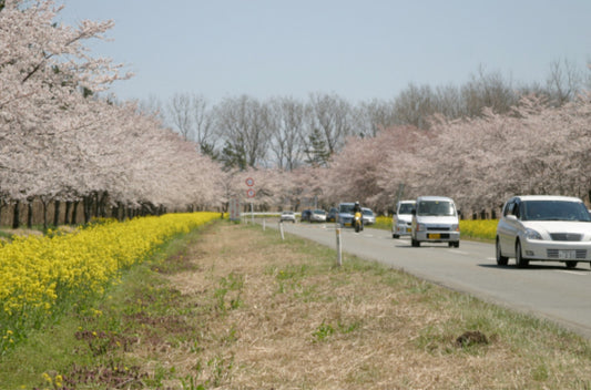 Exploring the Agricultural Triumph of Ōgata Village